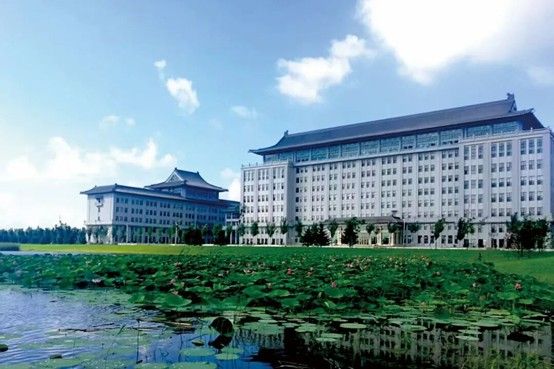 来哈信息，就对了！