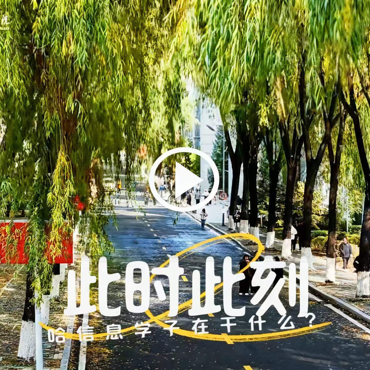 此时此刻，哈信息学子在干什么？