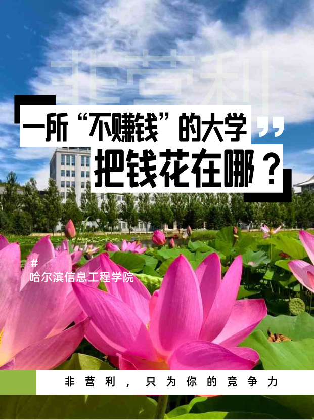 非营利性：哈信息的战略选择与价值承诺