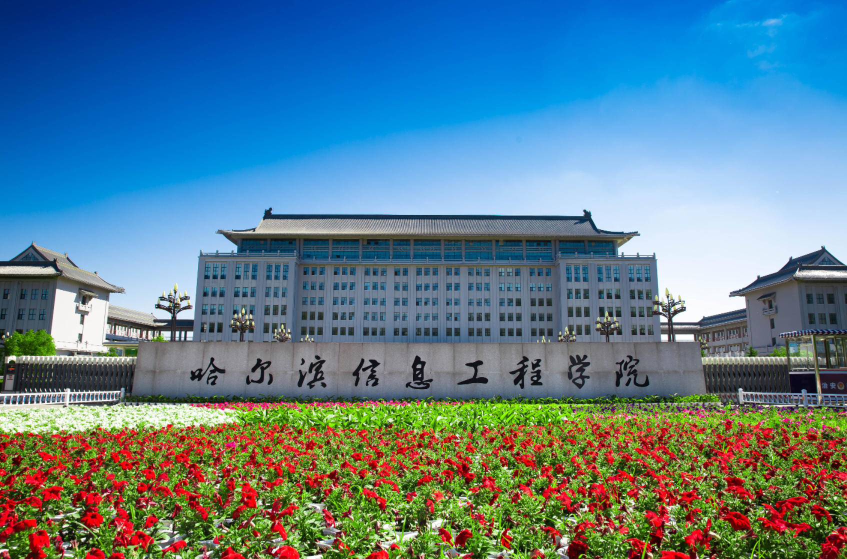 2026年专升本招生计划发布！